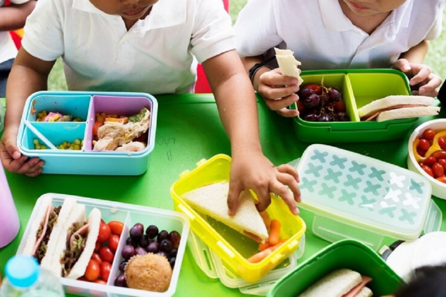 Penajam Paser Utara Menunggu Kejelasan Program Makan Gratis, Fokus pada Kendala Data dan Penganggaran