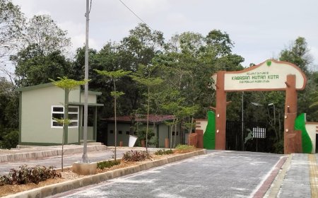 PPU Sukses Pulihkan Ekosistem Kerangas, Hutan Kota Disiapkan Jadi Habitat Rusa Sambar