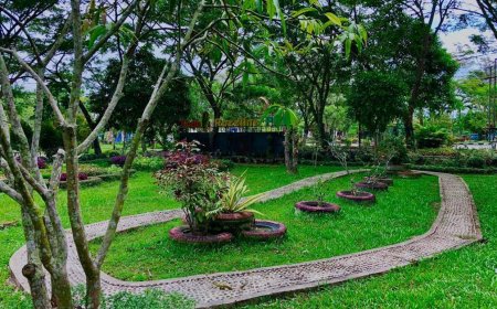 PPU Targetkan Piala Adipura Kedelapan, Upaya Pengelolaan Lingkungan Ditingkatkan