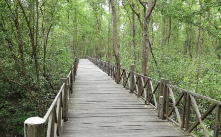 PPU Dorong Ekowisata Sebagai Penggerak Ekonomi Lokal