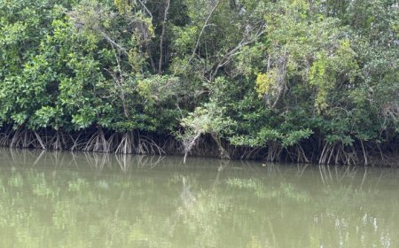 Desa Babulu Laut : Potensi Wisata Baru di PPU yang Siap Dikembangkan