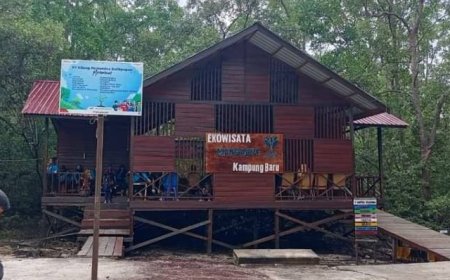 Ekowisata Mangrove Penajam Bersiap Terapkan Retribusi Wisata