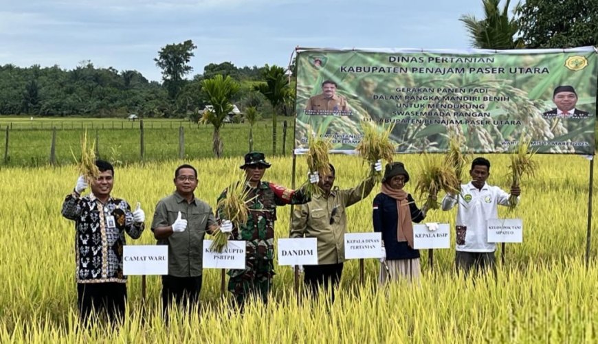 PPU Dorong Kemandirian Benih, Panen Padi di Desa Sesulu Jadi Bukti Keberhasilan Petani