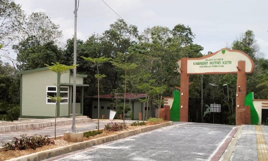 PPU Sukses Pulihkan Ekosistem Kerangas, Hutan Kota Disiapkan Jadi Habitat Rusa Sambar