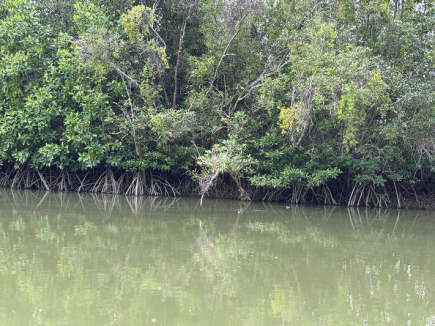 Desa Babulu Laut : Potensi Wisata Baru di PPU yang Siap Dikembangkan