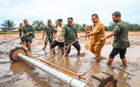 Pemkab PPU Pimpin Tanam Padi Serentak, Dukung Ketahanan Pangan Nasional