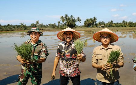 PPU Dorong Pertanian Ramah Lingkungan lewat Penanaman Perdana Padi dengan Pupuk Organik Nasional