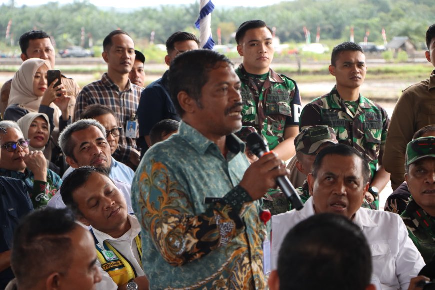 Program Optimasi Lahan di PPU Ditarget Rampung Enam Bulan, Kepala Dinas Pertanian Fokus Swasembada Pangan