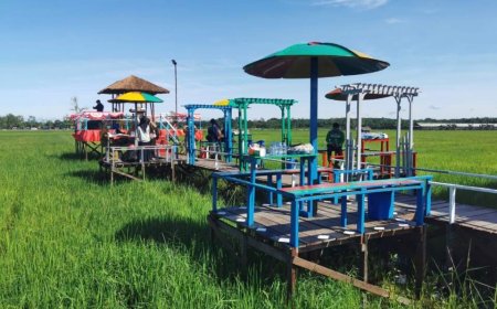 Pembentukan Pokdarwis, Kunci Optimalisasi Wisata Sawah Gunung Mulia di PPU