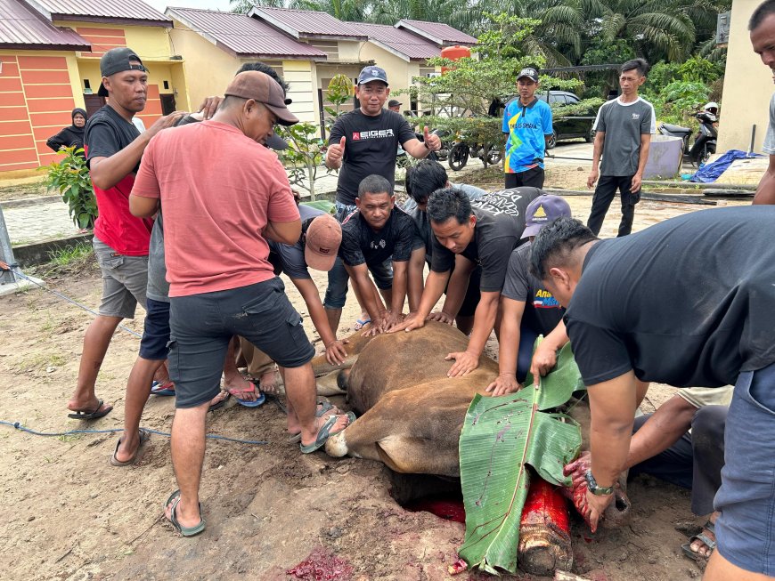 Semangat Gotong Royong Warnai Penyembelihan Hewan Kurban di Mushollah Al Fattah RT 27 Petung